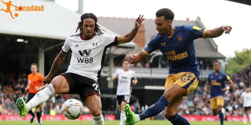 Đánh giá trước trận Fulham vs Newcastle United