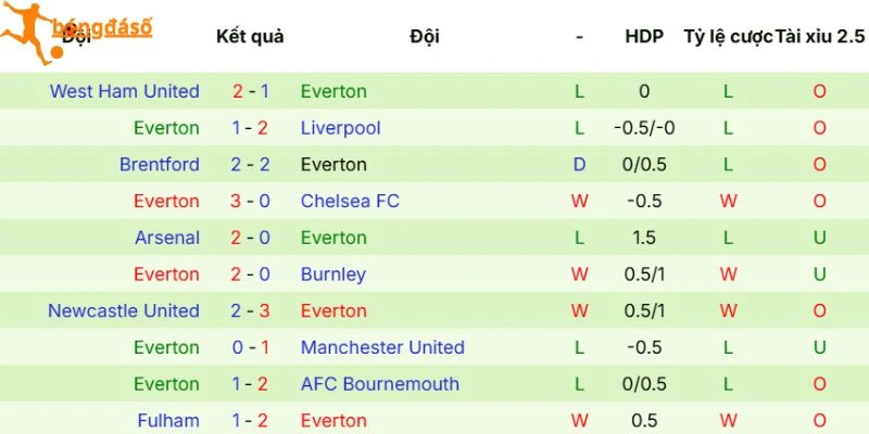 Dấu ấn thi đấu của Everton