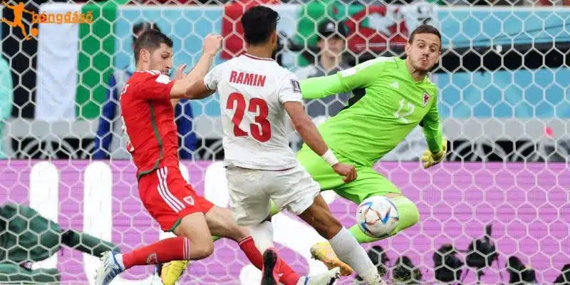 Kết quả chạm trán đã qua của Iran vs New Zealand