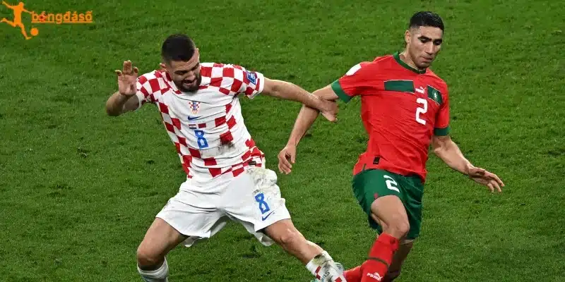 Dữ liệu đội hình xuất phát dự kiến trận CH Séc vs Nam Phi