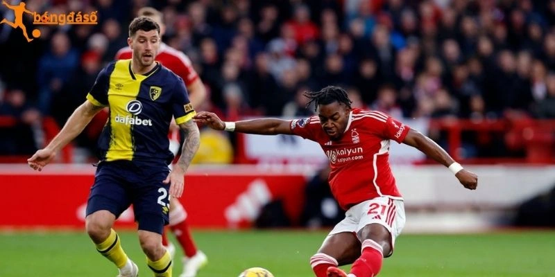 Phân tích trước trận Nottingham Forest vs Bournemouth