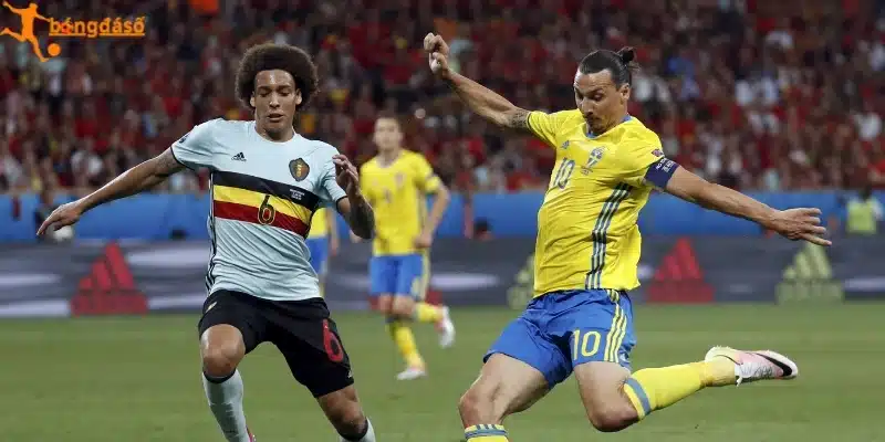 Tổng quát thực lực của Bờ Biển Ngà vs Ecuador