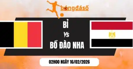 Tỷ Lệ Kèo Bỉ Vs Ai Cập – Bảng G World Cup 02h00 16/06/2026 