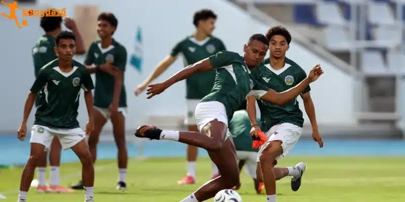 Dự đoán bảng kèo trận Singapore vs Timor Leste